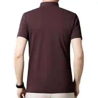 PIERRE CARDIN Polo