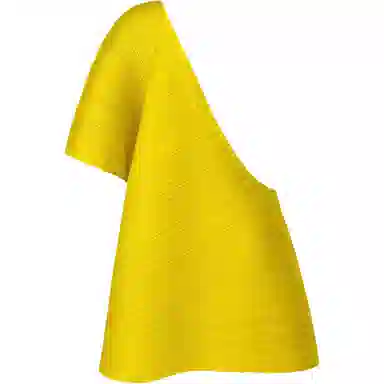 PLEATS PLEASE ISSEY MIYAKE FW25