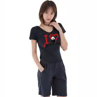 fdragon T