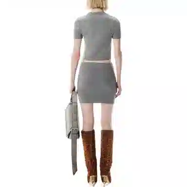 alexander wang FW25T