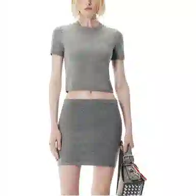 alexander wang FW25T