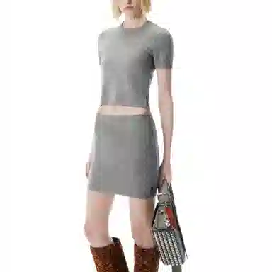 alexander wang FW25T