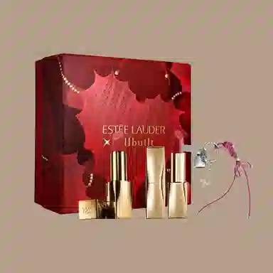 雅诗兰黛 七夕限定丝雾小金管彩妆套装 易上色持久