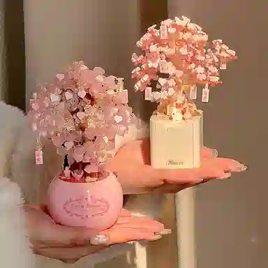 CANEXT diy 601-1000pcs CANEXT-ZJ-YHJM