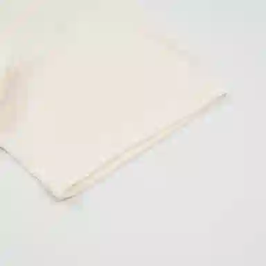 THE NORTH FACE SS25 Bridger T