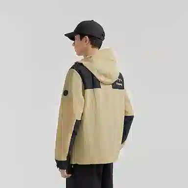 LogoUPF100