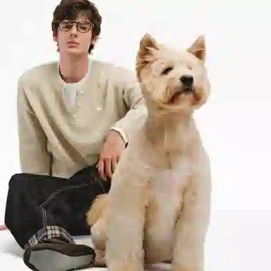 PCLP Two-in-One Henley Collar Embroidered Dog Knit Sweater