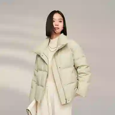 波司登 鹅绒立领短款厚款纯色面包服羽绒服 女款