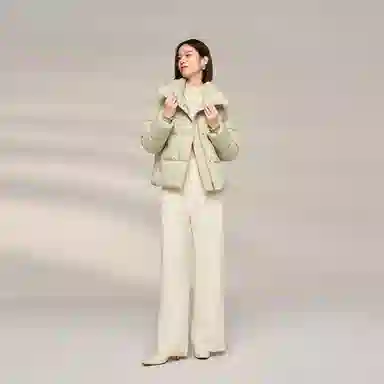 波司登 鹅绒立领短款厚款纯色面包服羽绒服 女款