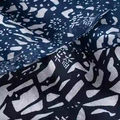 A LIFE ON THE LEFT V