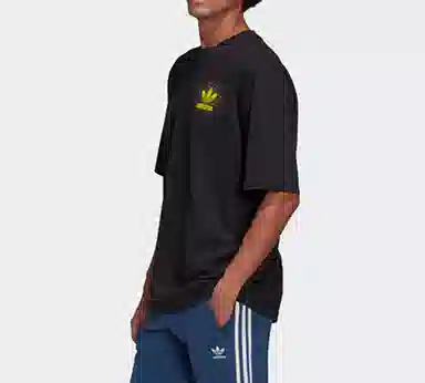 adidas originals Graphic Tee 2 T