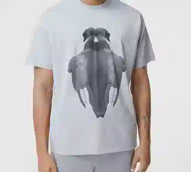 Burberry T