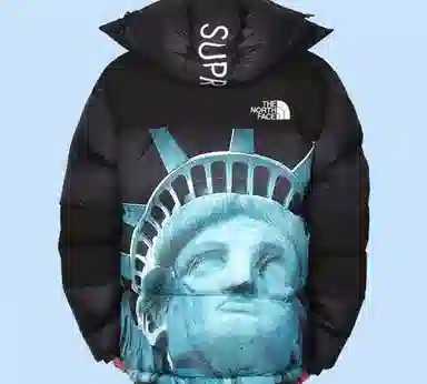 Supreme x The North Face Statue of Liberty Baltoro Black