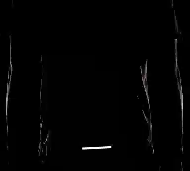 Nike Miler Wild Run Tee White