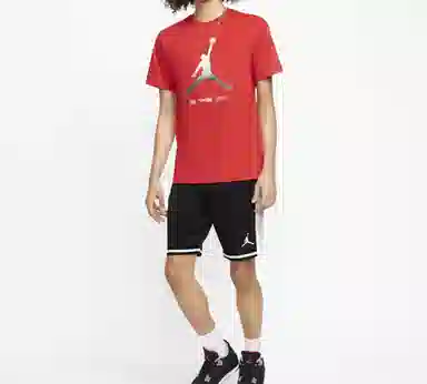 Jordan Legacy AJ11 T