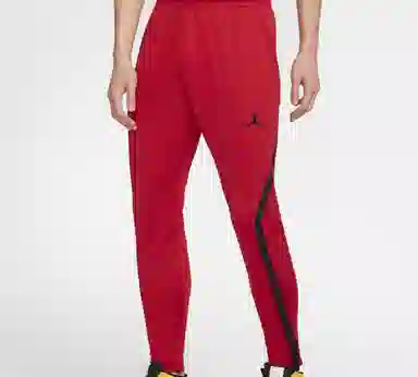 Air Jordan 23 Alpha Dri-Fit Pants