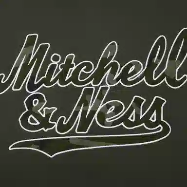 Mitchell Ness NEW VINTAGE HO25 logo