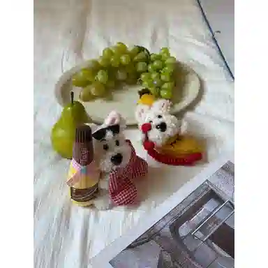 Tagi. 66go 10cm13.5cm16cm