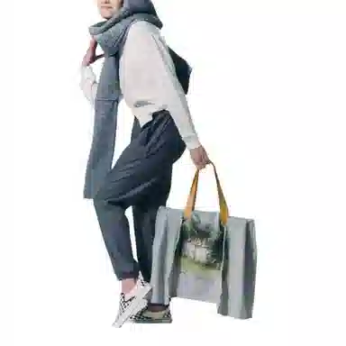 THE MUSEUM VISITOR T