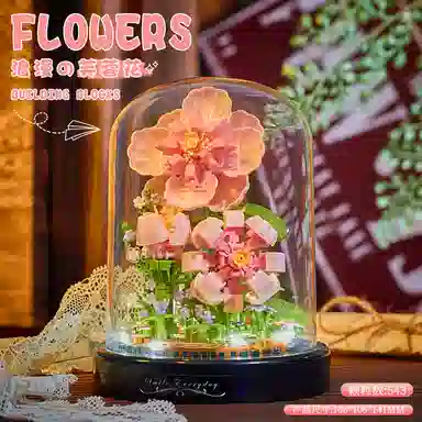 CANEXT 3ddiy 543pcs699pcs CANEXT-ZJ-JMYHJM