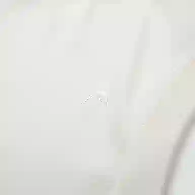 HEAD T