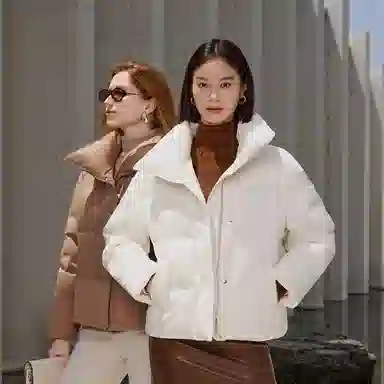 波司登 鹅绒立领短款厚款纯色面包服羽绒服 女款