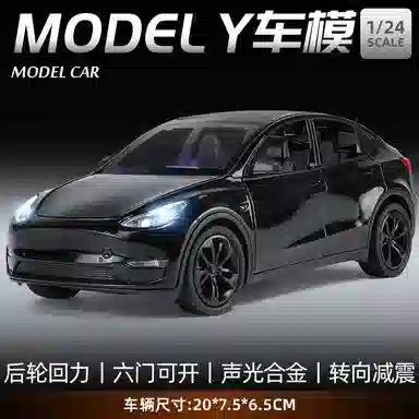 TY MODELS Model Y 124