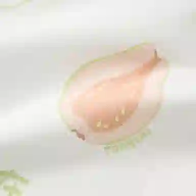 童泰连体衣 柔润真果系列 舒适柔软时尚新生儿亲肤透气 婴幼童