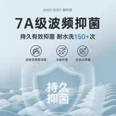 Raidy Boer T