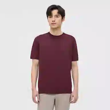 SUNDANCE T