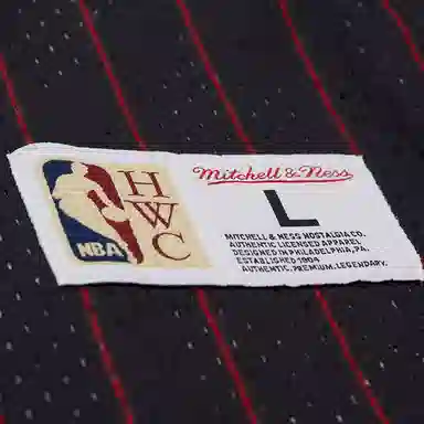 Mitchell Ness x NBA 90 T