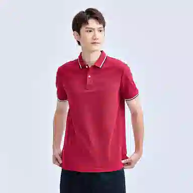 poloPolo