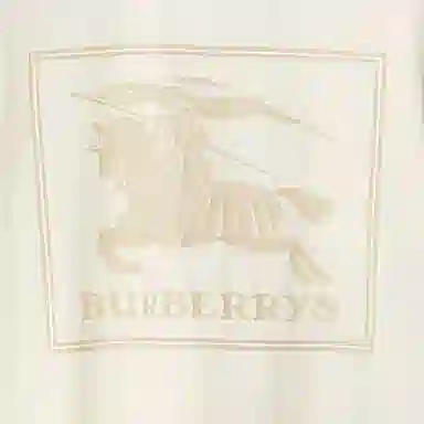 Burberry FW23 LogoT