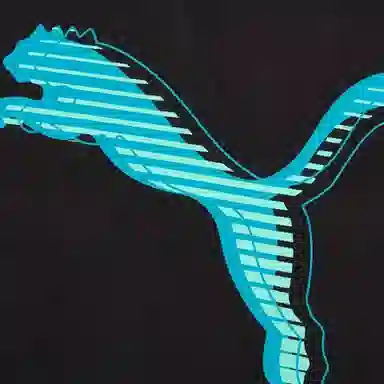 PUMA GRAPHICS T