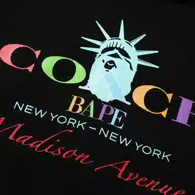 BAPE FW22 Logo