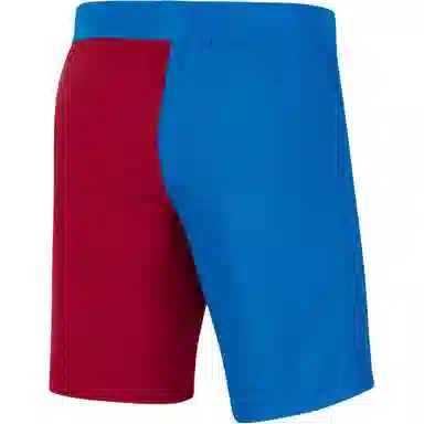 Nike FC Dri-FIT ADV Barcelona 2122