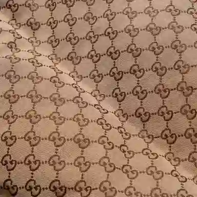 Gucci x The North Face