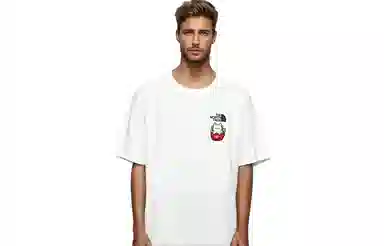 THE NORTH FACE Extraordinary LogoT