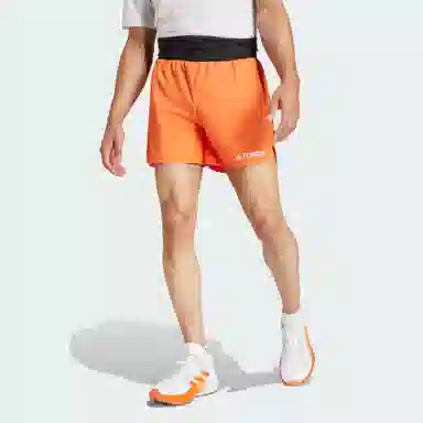 adidas Terrex XPERIOR Shorts