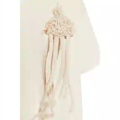 ZARA x Fanglu Lin SS25 T