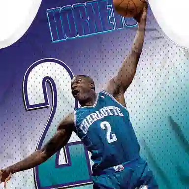 Mitchell Ness 2