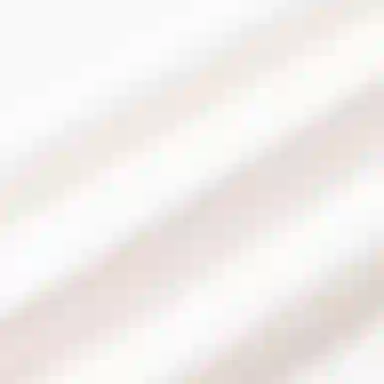 Polo Ralph LaurenT FW24