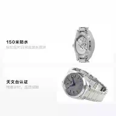 Omega Aqua Terra 220.10.41.21.06.001