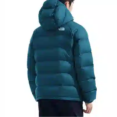 THE NORTH FACE Hydrenalite Logo