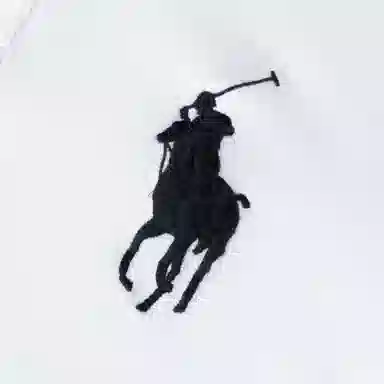 Polo Ralph Lauren LogoPolo
