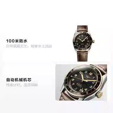 LONGINES 100 39mm L3.802.5.53.2