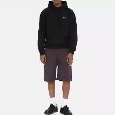 Stussy SS22 Brushed Beach Short