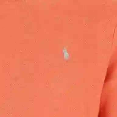 Polo Ralph Lauren Logo