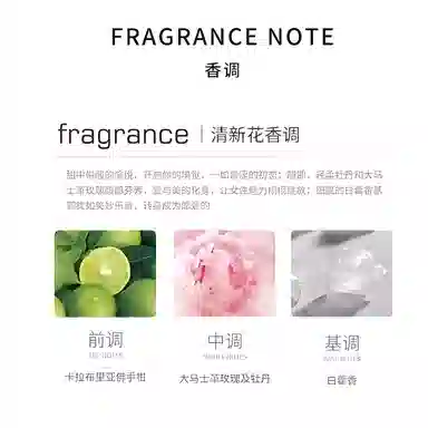 Dior Castle Perfume Set