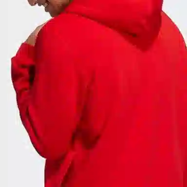 adidas neo M Ssfv1 Hoodie1